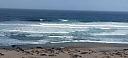 IMG_20250130_162144.jpg