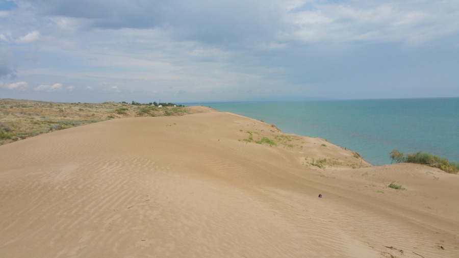 20170605_135514.jpg