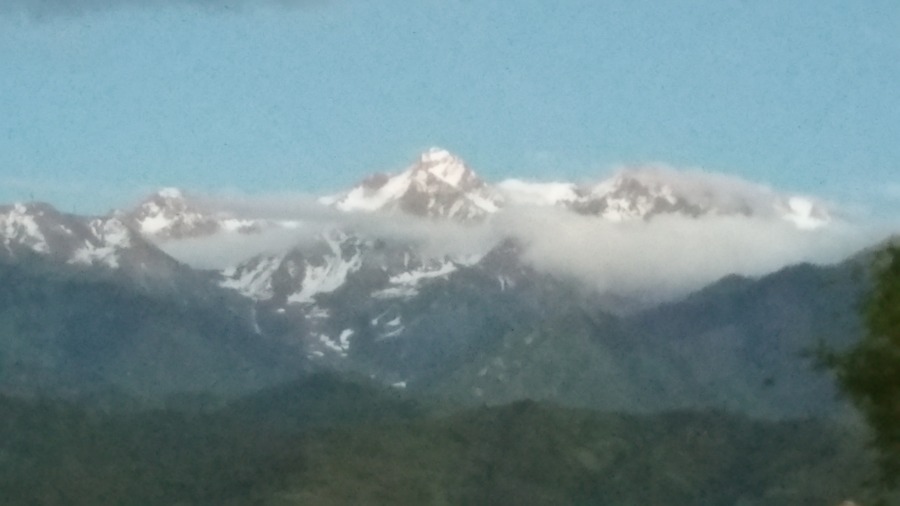 20170605_205918.jpg