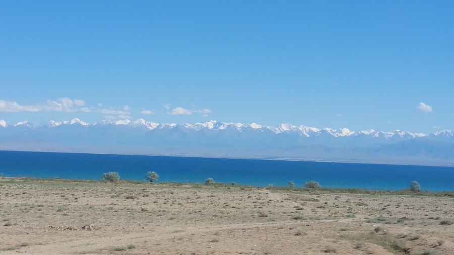 20170608_161858.jpg