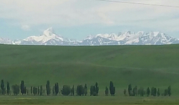 20170609_124250-1-1.jpg