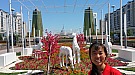 20170603_140937.jpg