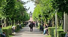 20170605_171527.jpg
