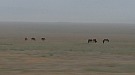 20170606_181600.jpg