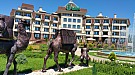 20170608_113113.jpg