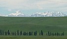20170609_124250-1-1.jpg