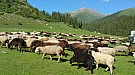 20170609_171033.jpg