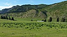 20170609_174023_001.jpg