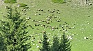 20170609_175031.jpg