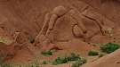 20170610_120446.jpg