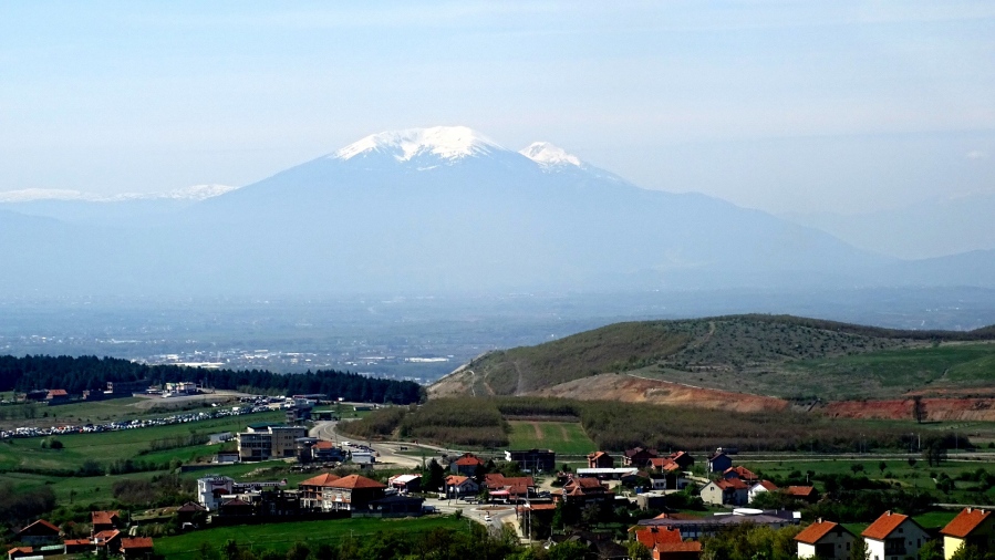 DSC08504.jpg