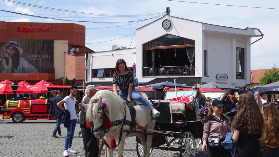 DSC08649.jpg