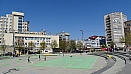 DSC08248.jpg