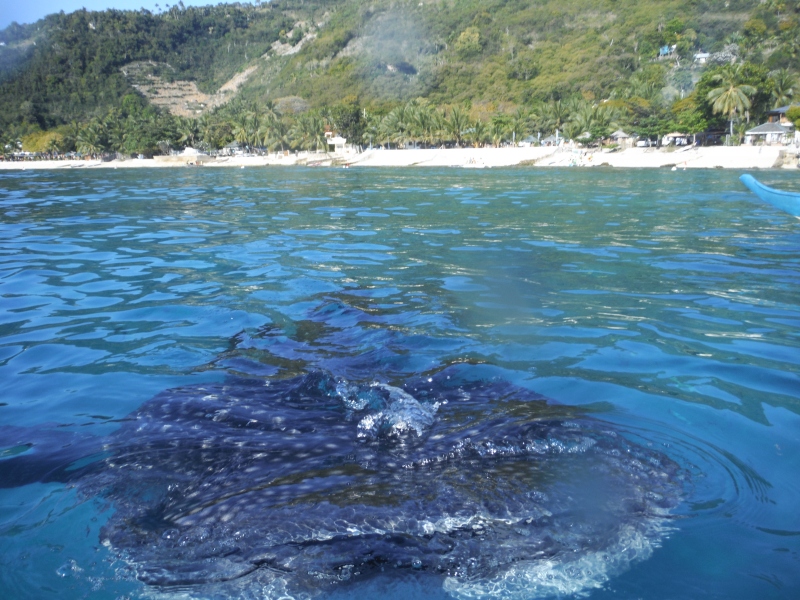 DSCF7957.jpg