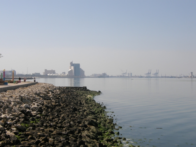 P2210053.jpg