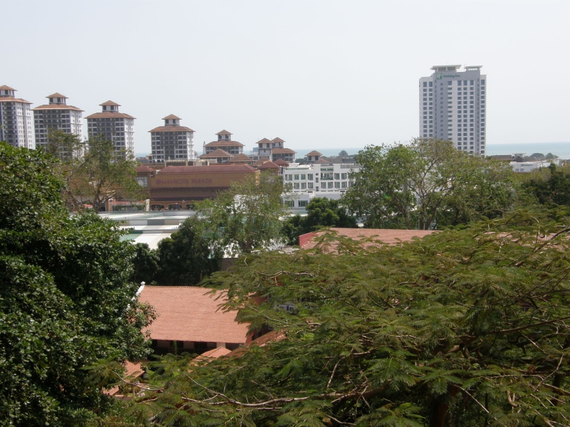 P2240485.jpg