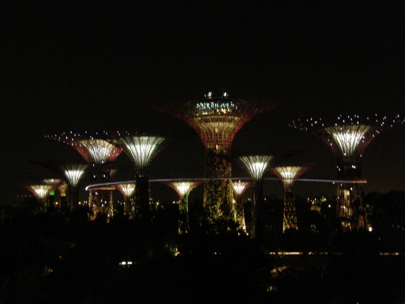 P3041437.jpg