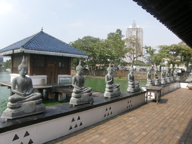 P3051567.jpg