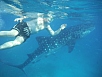 DSCF7916.jpg