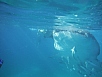 DSCF7925.jpg