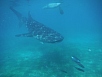 DSCF7934.jpg