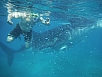 DSCF7945.jpg