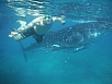 DSCF7946.jpg