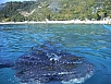DSCF7957.jpg