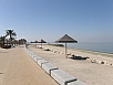 P2210052.jpg