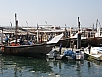 P2210094.jpg