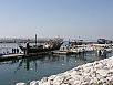 P2210096.jpg
