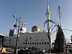 P2210164.jpg