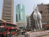 P2230264.jpg