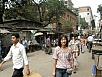 P2230304.jpg