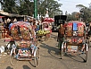 P2230382.jpg