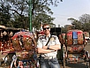 P2230383.jpg