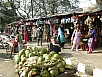 P2230387.jpg