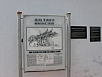 P2240432.jpg