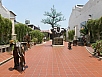 P2240448.jpg