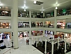 P2240528.jpg