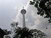 P2250558.jpg