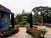P2250559.jpg