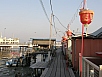 P2260629.jpg