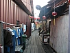 P2260634.jpg
