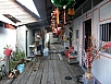 P2260635.jpg
