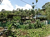 P2270702.jpg