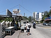 P2270716.jpg