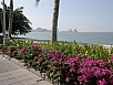 P2270754.jpg