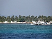 P3010889.jpg