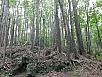 P3020976.jpg